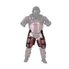 WDS Thigh Guard bronze S/M